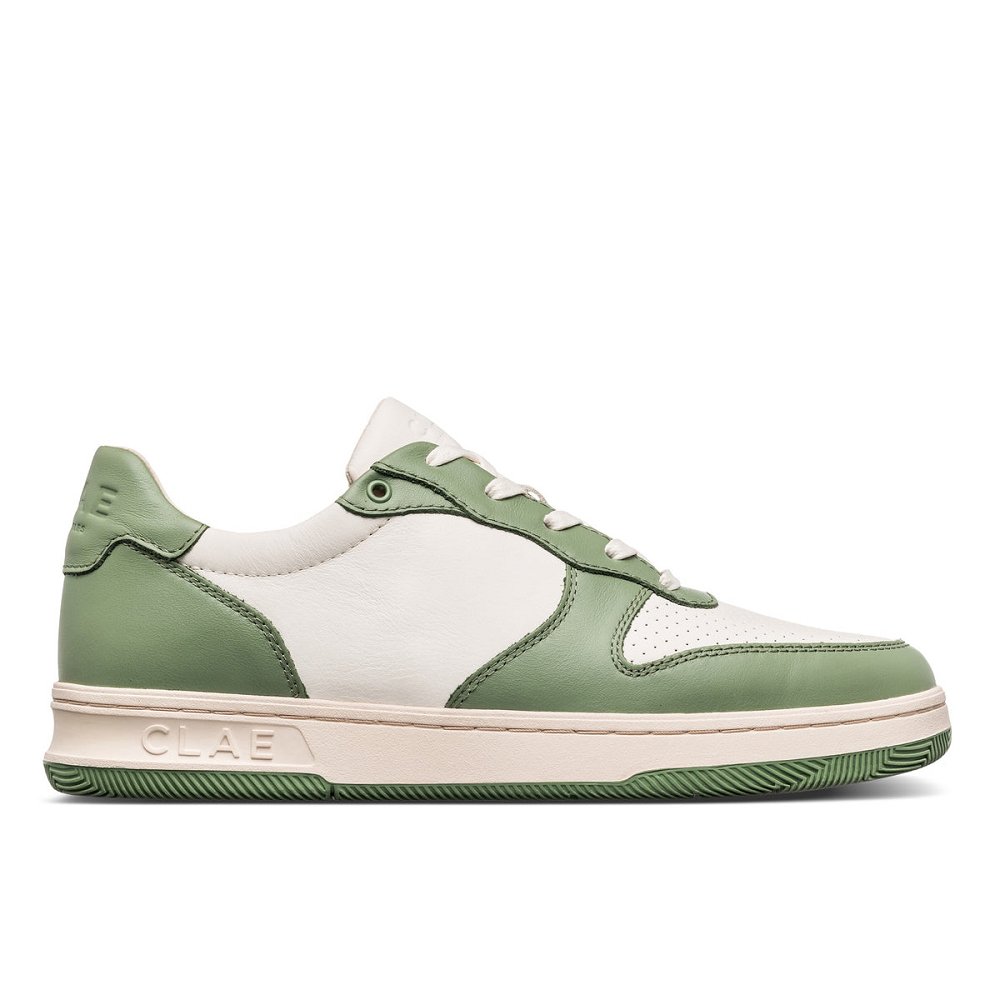 CLAE MALONE Shoes Mens USA568-Y14 In Menta Leather Off White